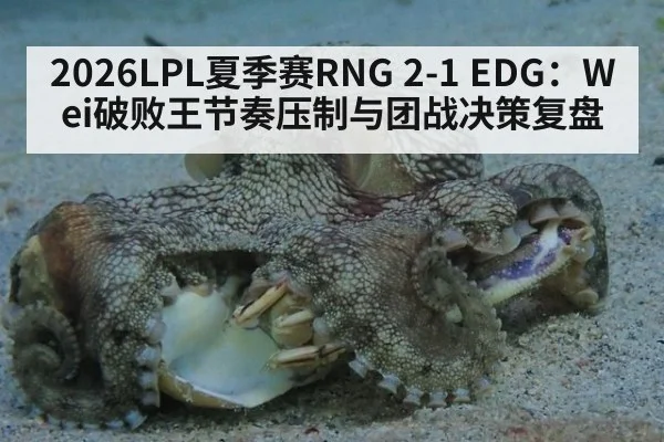 2026LPL夏季赛RNG 2-1 EDG：Wei破败王节奏压制与团战决策复盘