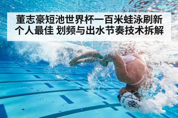 董志豪短池世界杯一百米蛙泳刷新个人最佳 划频与出水节奏技术拆解